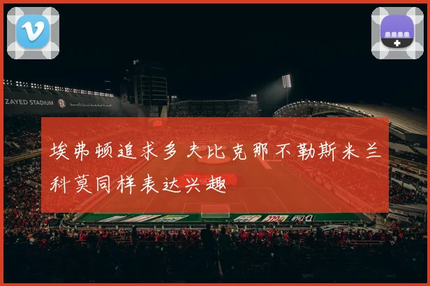 埃弗顿追求多夫比克那不勒斯米兰科莫同样表达兴趣