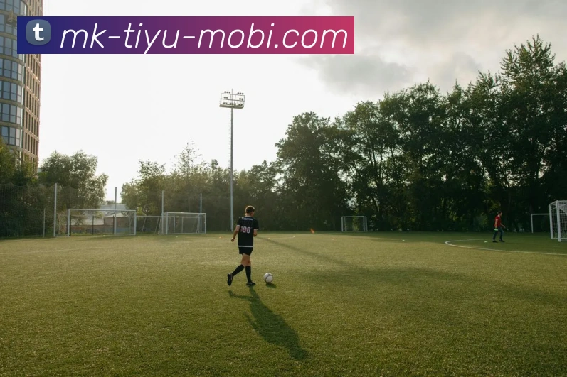 App Interface Preview