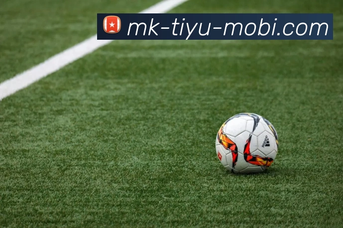 MK体育APP 封面图
